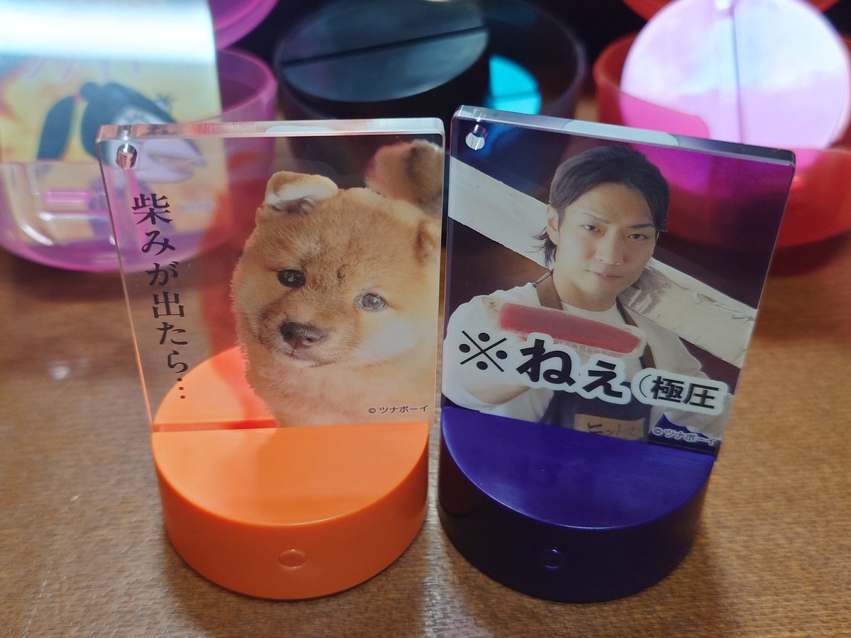 Holychixi's tweet photo. ということでフルコンプ出来ました︎🌟
ジョージシェフ出るまでに被り分で5種揃ってしまった🤣

もう1コンプしたいかもしれない… https://t.co/oocBcGZLoh