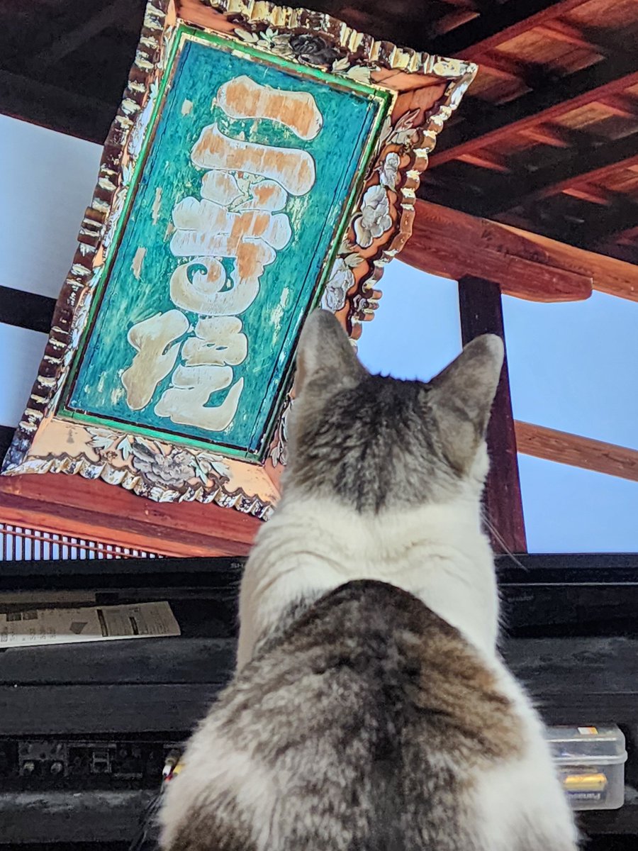 81dbH2JsPFfFQWR's tweet photo. @uJWJpFJGxHBmkUw ハーイ､テレビ(NHK)を観ていま～す‼️ https://t.co/wyY9WqPOiT