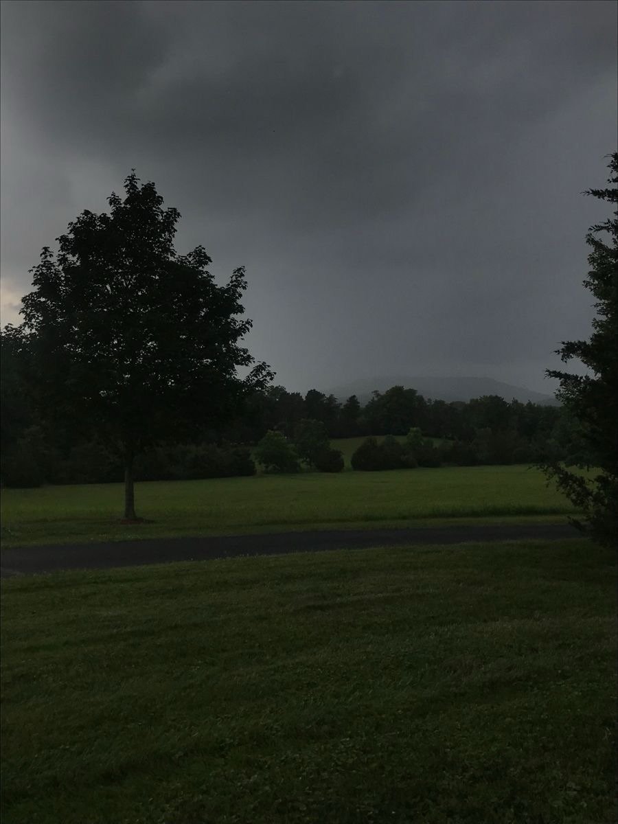 worldclick56's tweet photo. my soul belongs to this weather  🌿 https://t.co/kb6HNgjrbX