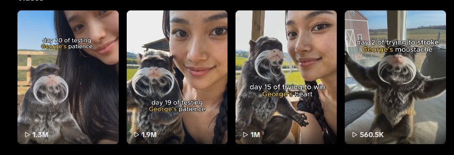 wallstreetdev67's tweet photo. THERES A NEW MONKEY GOING MEGA VIRAL ON TIKTOK RN

This monkey "George" is blowing up on TikTok with millions of VIEWS on each video. He's literally the ZEN monkey, he meditates in all of the videos.

People have literally turned him into a MEME, and there's so much content 

https://t.co/aG8Lp9oTr2