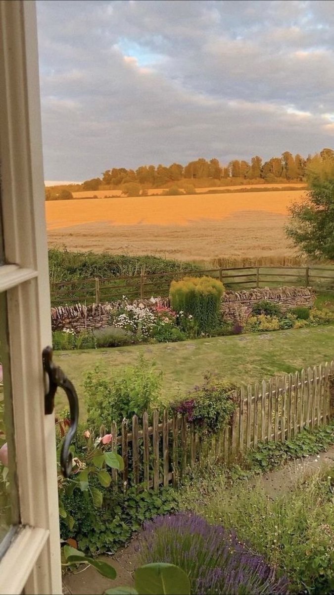 cozyycabin's tweet photo. countryside life https://t.co/hNM1hoXpp8
