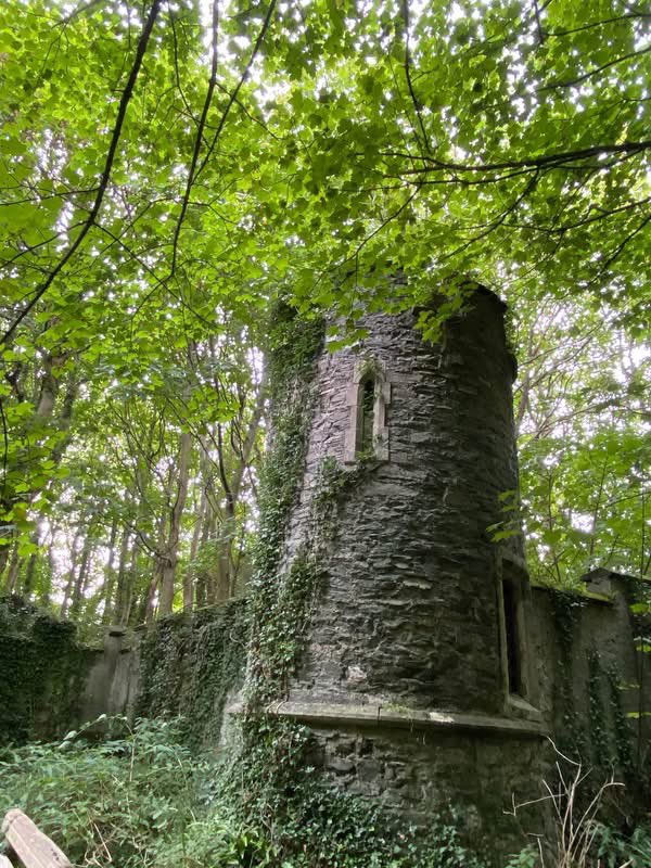 PenrhosSave's tweet photo. There are Many reasons why we fight to save Penrhos, it’s history, the geological features,the flora and fauna and many many more …this place is too special to be bulldozed for a tourist holiday village as we keep saying it is not a need. Holiday makers come for nature !
#SavePenrhos #AchubPenrhos
📸Angle Evans , Shirley Blease & Bernie Humpleby