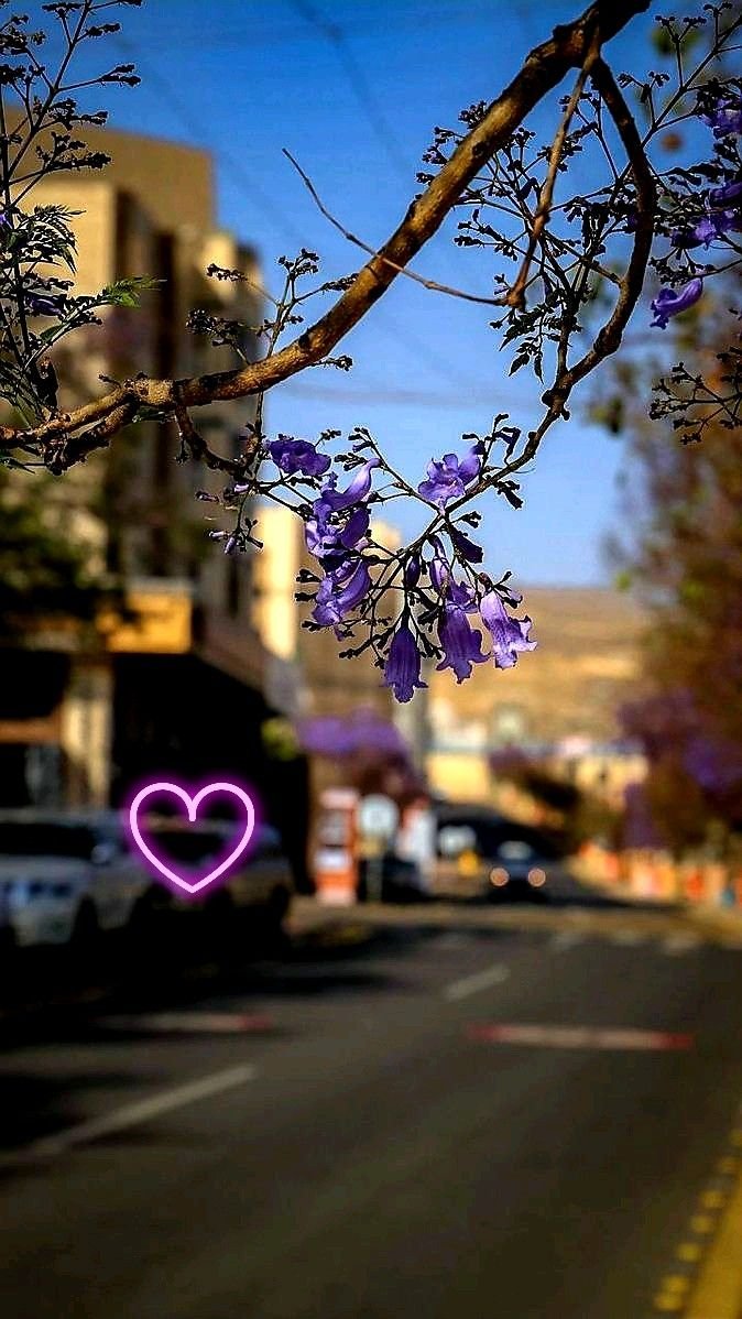 Naa_reman tweet picture