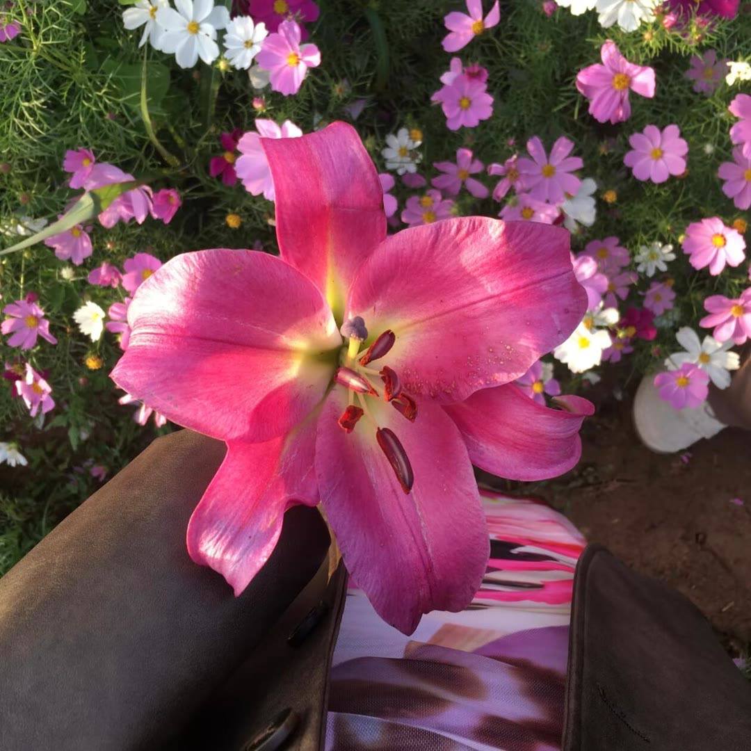 AuroraTurnix's tweet photo. Be proud of your progress - your journey is still unfolding 🌸 https://t.co/RF6igKRu5T