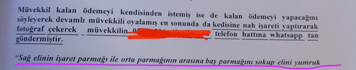 AvAykutBayrakci's tweet photo. Borcunu ödemeyen adamın nah çeken arsız kedisi ve savcı nahı bilmiyordur belki diye işaretin detaylı tanımını yaparak şikayette bulunan bir meslektaş. Sürprizlerle dolu bir meslek; avukatlık 😂 https://t.co/eqcIYFDOYM