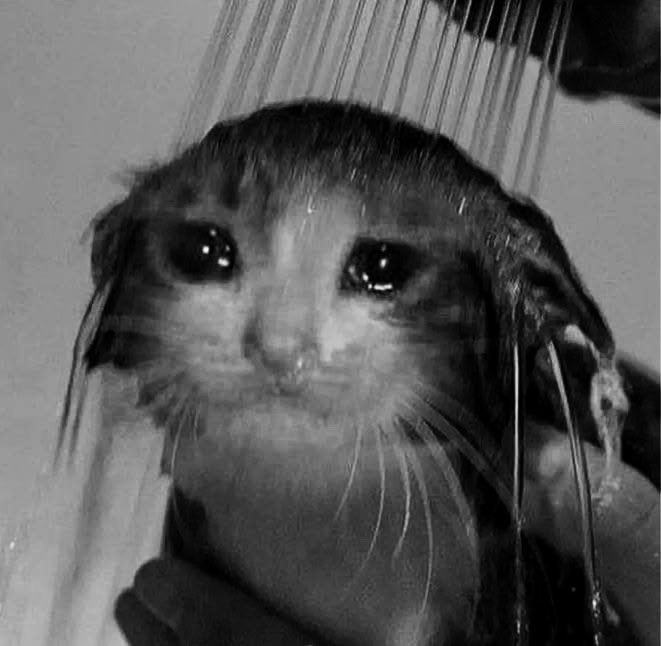 chikaszdog's tweet photo. Жизнь убивает, диабет добивает. 😭 https://t.co/1GjeCTKk0T