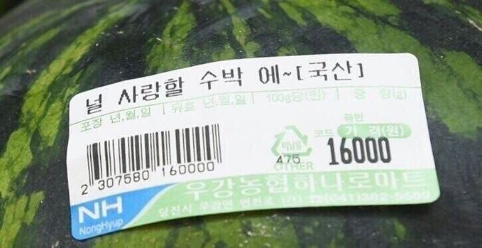 lolarnakk's tweet photo. 널 사랑할 수박 에- https://t.co/Pkj8z8RYB2