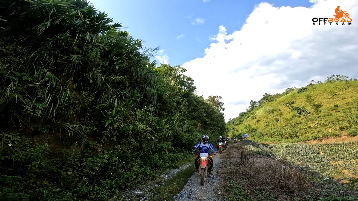 vietnamriders1's tweet photo. The feeling of being completely involved is what makes off-road riding so addictive. 🏍️

📲 https://t.co/uxO6RC6cSr

#offroadridingsoaddictive #completelyinvolved #memoryworthkeeping #vietnam #xuhuong2026 #trending2026 #motorbike #motorcycle #tour #rental #honda #XR150L #CRF250L https://t.co/affJGLbnJF
