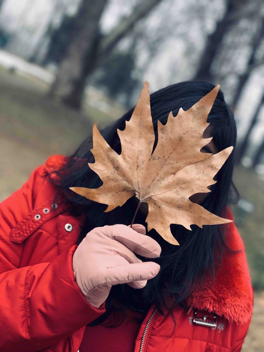 ChloeThompy2v's tweet photo. "maybe you should just give up and accept that you're terrible at the game" https://t.co/Z5Ov274Jwc