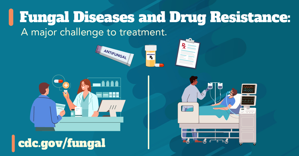EADirectorDNDi's tweet photo. As fungal diseases & antimicrobial-resistant fungal infections increase, the need for new antifungal treatment is critical.
Join @gardp_amr tomorrow for webinar on βTackling challenges in antifungal therapy.β #ThinkFungus26 #FDAW2026
πhttps://t.co/pb1RklyYzi
β²οΈ6:00- 7:30PM EAT https://t.co/A6bCKkIqYA