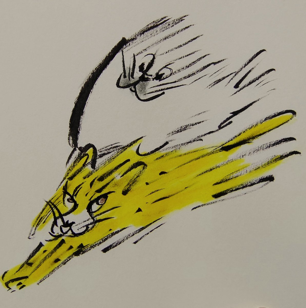 jissunboshi96's tweet photo. めちゃくちゃ足が速いチーターと仲良くなったアザラシを描きました。 https://t.co/E4isCBvvfS