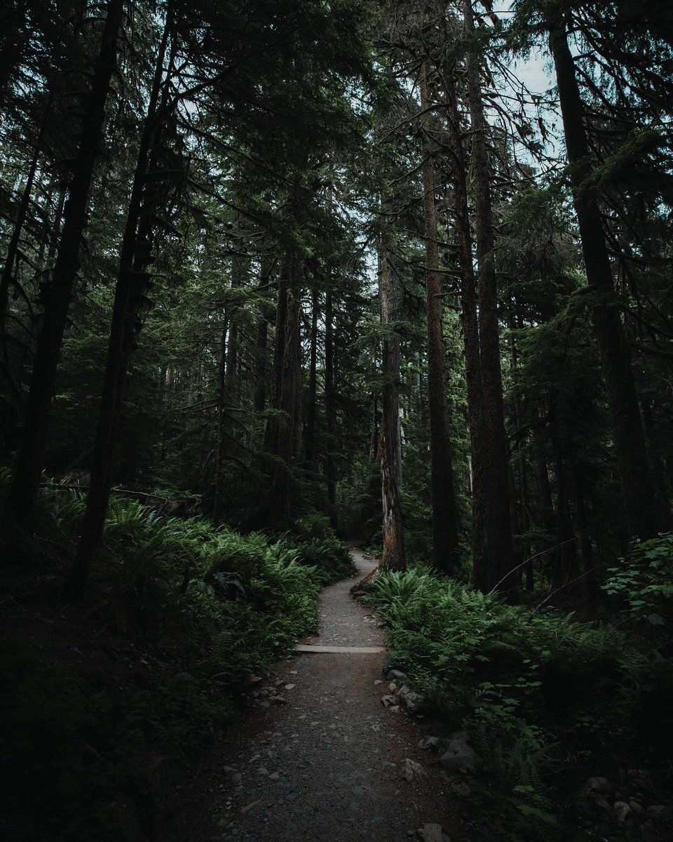 visualsofearth1's tweet photo. British Columbia, Canada https://t.co/QYoO5ZG7Zk