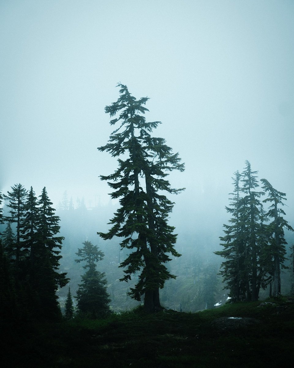 visualsofearth1's tweet photo. British Columbia, Canada https://t.co/QYoO5ZG7Zk