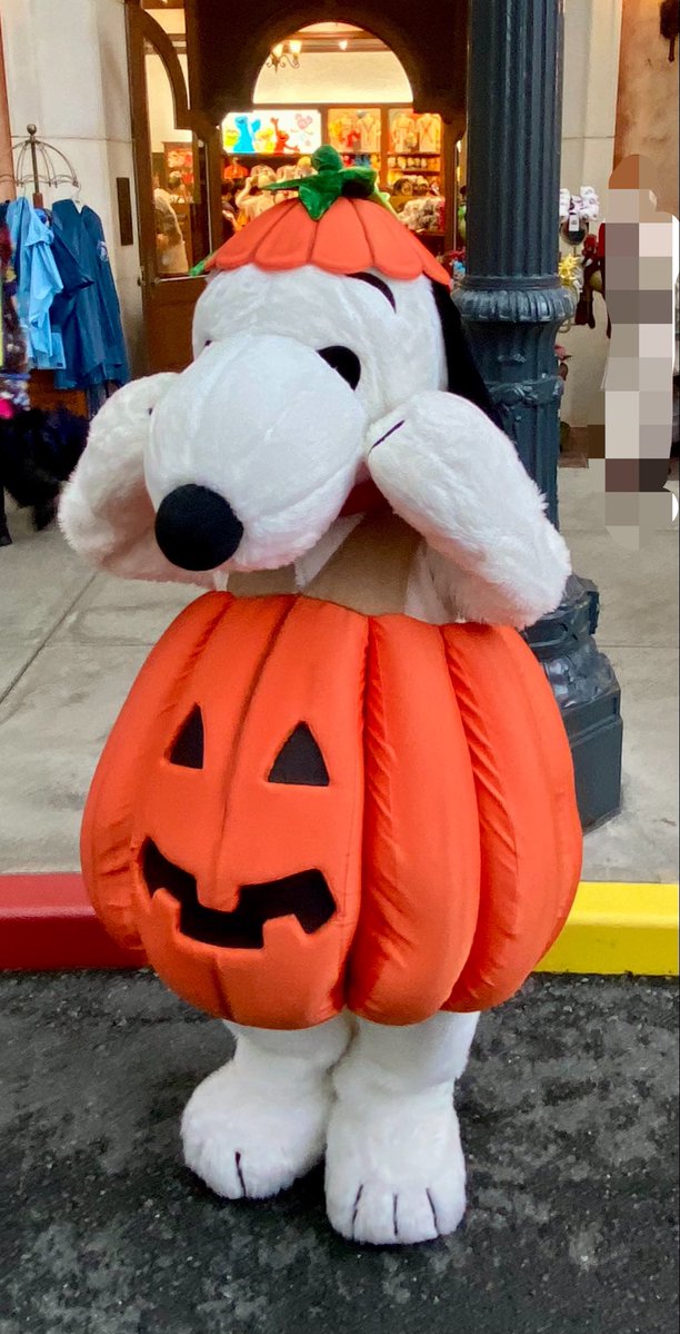 LOVE20070129's tweet photo. 🌎UNIVERSAL STUDIOS JAPAN③🌎

　🎃ハロウィーン・ホラー・ナイト🎃
　2026年9月11日（金）～11月8日（日）

🐾スヌーピー・グリーティング
　
　今回も、大好きなスヌーピーに会えました🥰❤️
#ユニバ
#ハロウィン
#スヌーピー https://t.co/4SeaJdTQy1