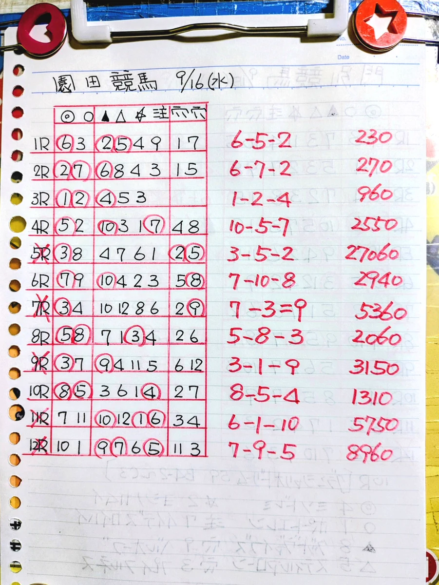 園田 競馬 結果