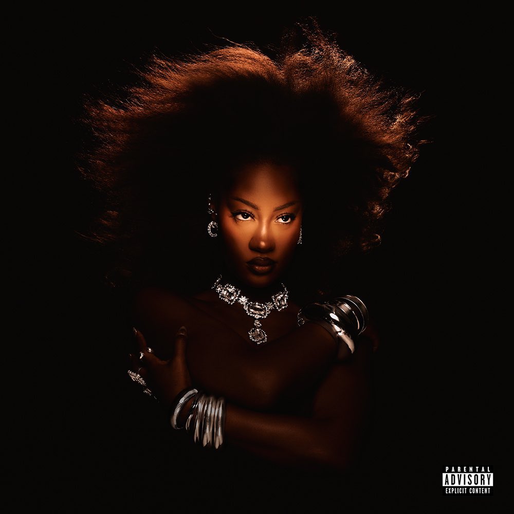 thedebuthub's tweet photo. 🚨 Tems joins Ayra Starr as the only Nigerian female acts with a project above 1 BILLION streams on Spotify 👸🏾👸🏾

▫️The Year I Turned 21 — 1.44B
▫️Born In The Wild — 1B 🆕 https://t.co/6ADR5HWsUp