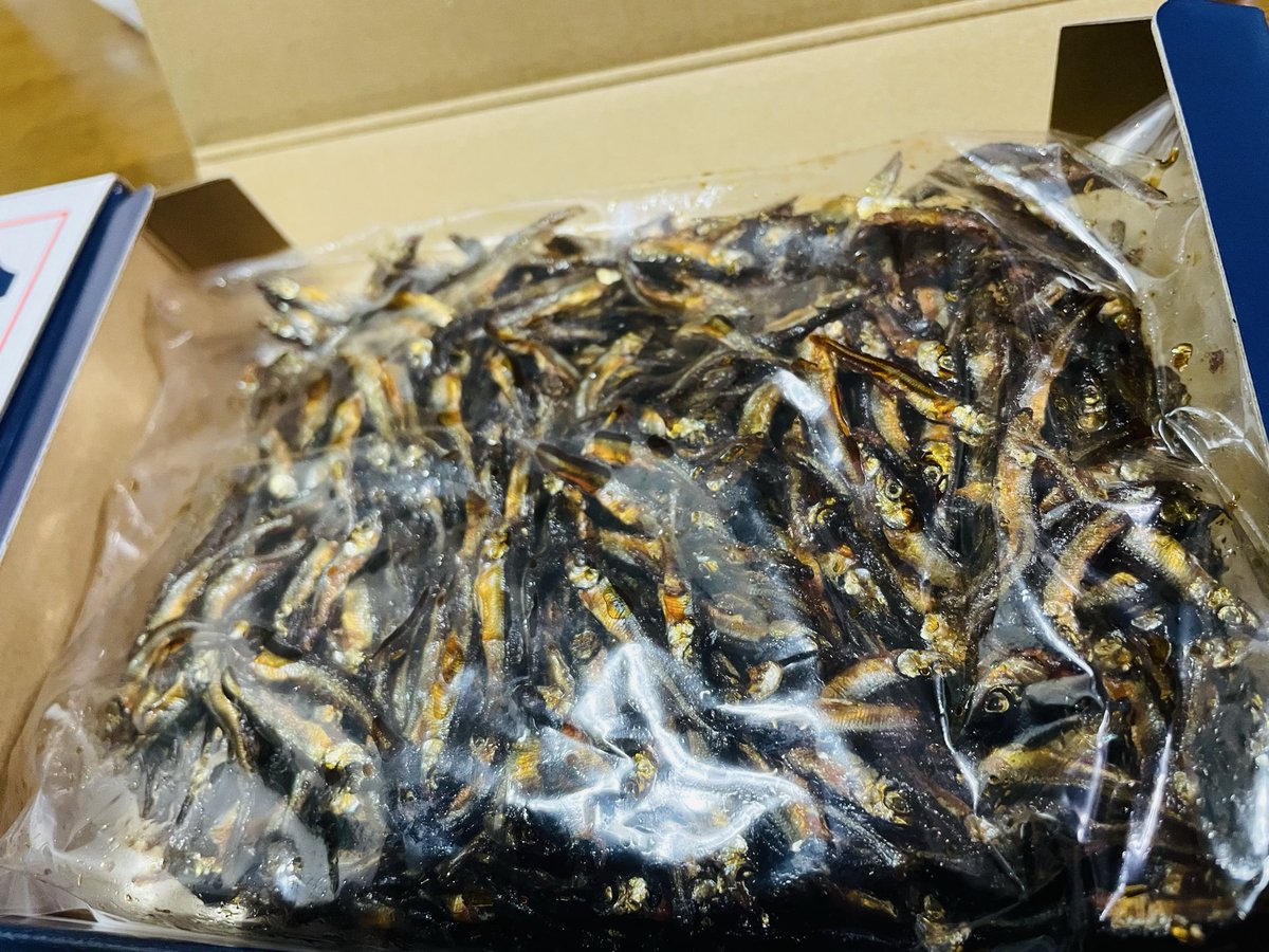 omochiotete's tweet photo. 旦那がまたしても送ってくれた🥹
苦手な人も居るかもなのでセンシティブ…
わかさぎの…つくだに…🐟💖💖
美味しすぎて泣いた、これだけでご飯が進みまくる🍚✨甘くて噛むとじゅわっと染みでるの…まじで白米に合いすぎ‼️‼️‼️おかわりしたい‼️‼️‼️ https://t.co/iAKh0UKae5