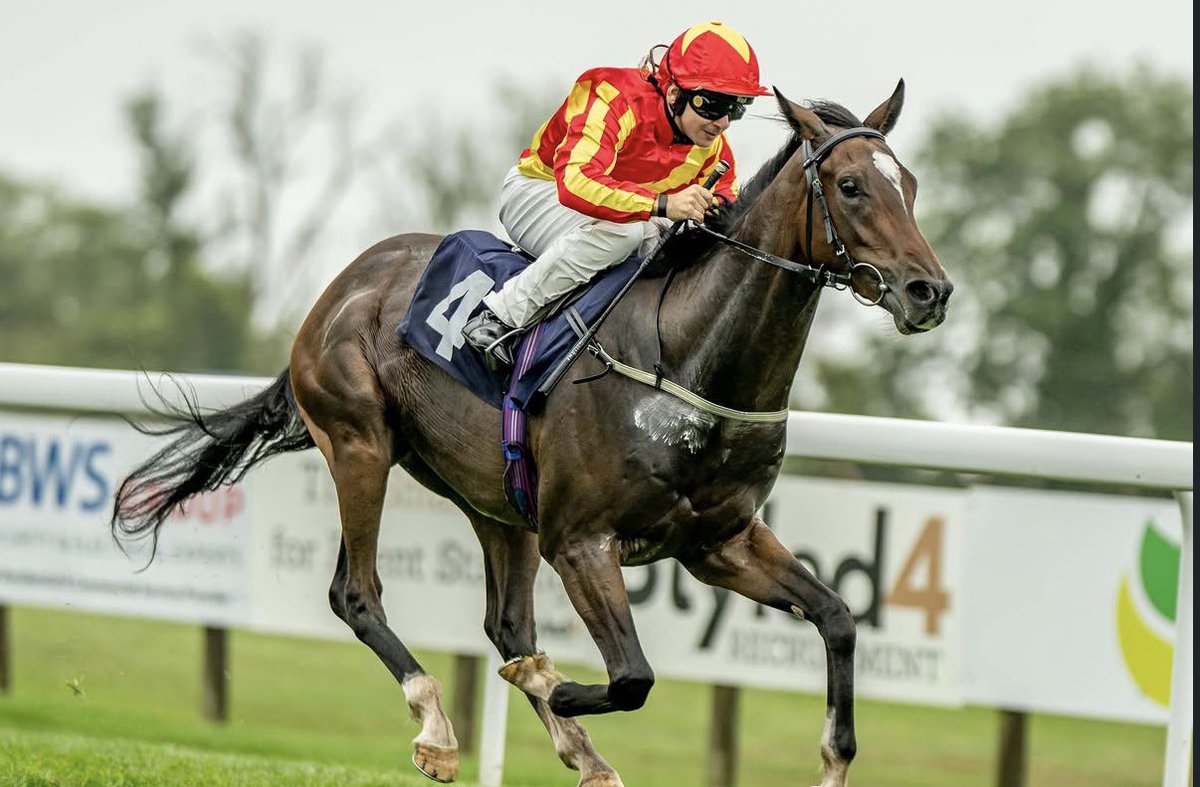 byerleystuduk's tweet photo. ‼️WINNERS WEEKLY‼️

Last week we saw 2️⃣ Byerley raised and grazed 2YO’s take to the winner’s enclosure…

🥇 CATURRA LIGHTS got up to win gamely on handicap debut, and now holds a L. entry for Friday!

🥇 Q T BOY made all to win readily for the first time!

🎓 ConGRADulations! https://t.co/maQlLUGZhP