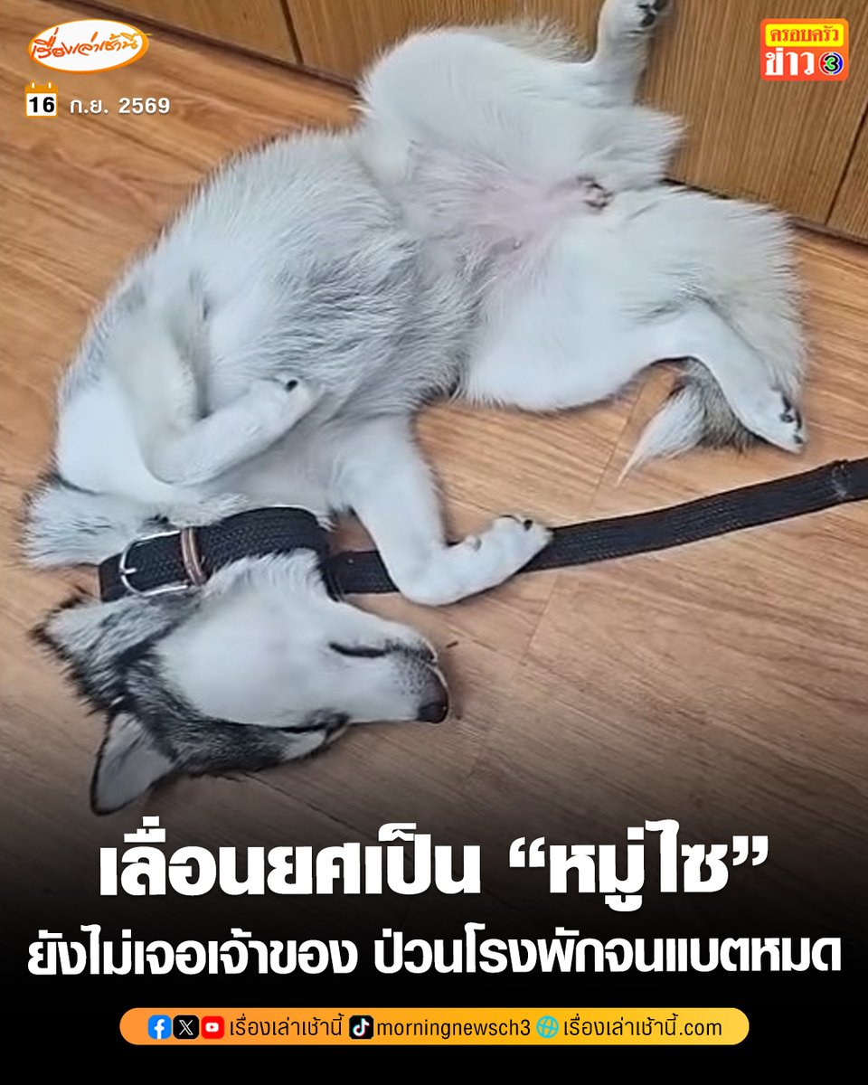 MorningNewsTV3 tweet picture