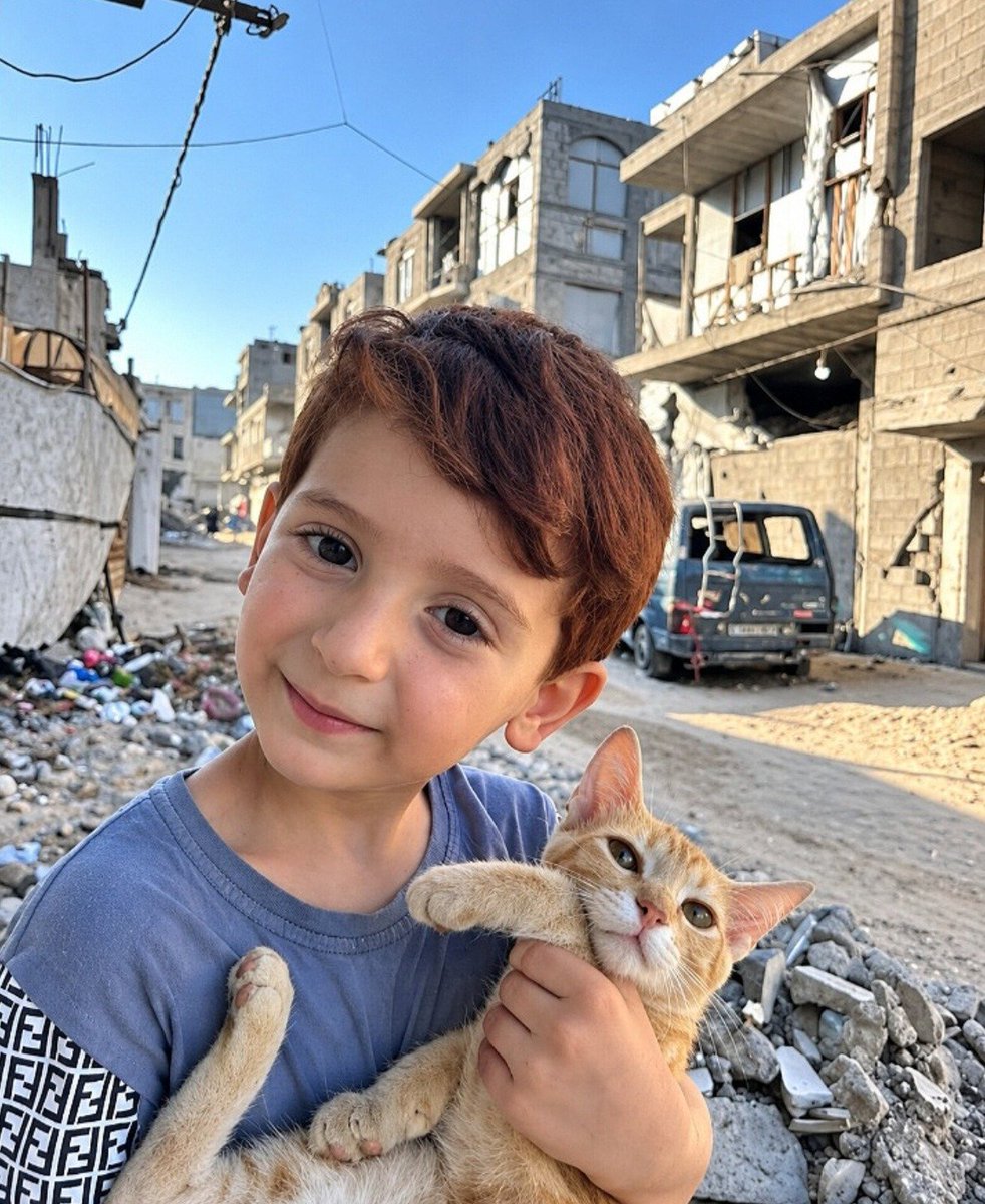ConflictTR's tweet photo. Gazzeli minik Amro, İsrail tarafından yıkılan evlerin arasında kedisi ile oynuyor. https://t.co/OzNpMczO8L