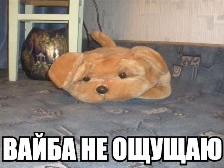 1apeche's tweet photo. Мне вот вот 18 и я рыдаю,потому что этот возраст не подходит мне под вайб,мне должно быть вечно 17 😭😭…
У кого такая же фигня 🙌🏼 https://t.co/bqq7UXhnRc