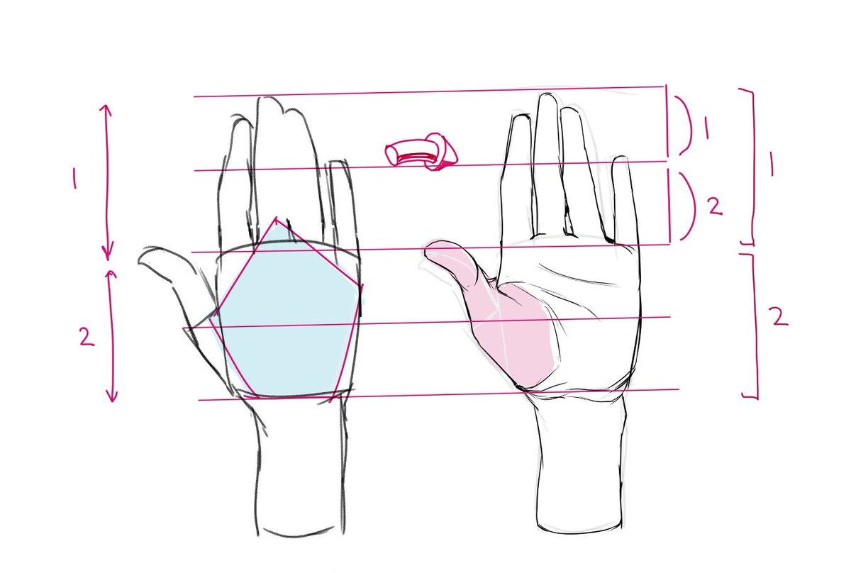 clipstudiopaint's tweet photo. Who struggles with drawing hands? 🤚

Don't start by drawing all five fingers. Focus on the overall hand shape first.

Think of it like this 👇
✅ Palm = a slightly rounded square
✅ Fingers = one mitten-like shape
✅ Palm-to-finger ratio = 1:1

Then, just split the shape into fingers. This'll make drawing hands much easier!
