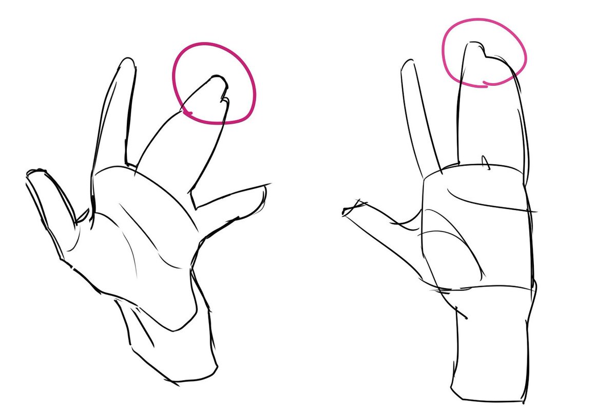 clipstudiopaint's tweet photo. Let’s look at how fingers spread 🖖

Instead of thinking of fingers as five straight sticks, imagine they spread like a round hand fan.

Also, remember:
✅ Keep the index finger mostly straight
✅ Vary the gaps between the fingers

Just these two details can make your hands look much more expressive👀