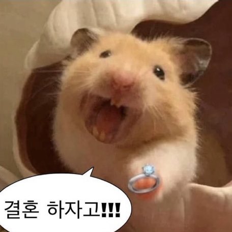 myhevvan's tweet photo. 잘생긴😮‍💨 https://t.co/cyQfDuWv0L