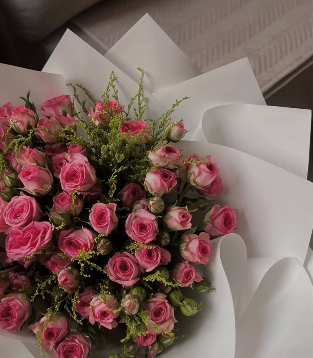 1804Nour's tweet photo. https://t.co/kjN3JPVClb