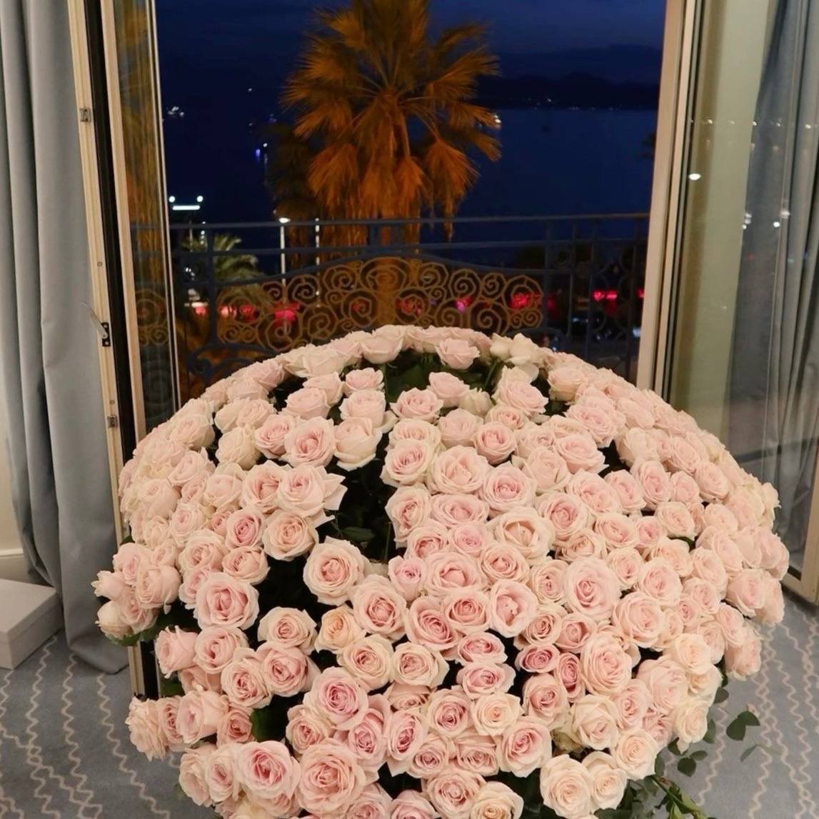 1804Nour's tweet photo. https://t.co/kjN3JPVClb