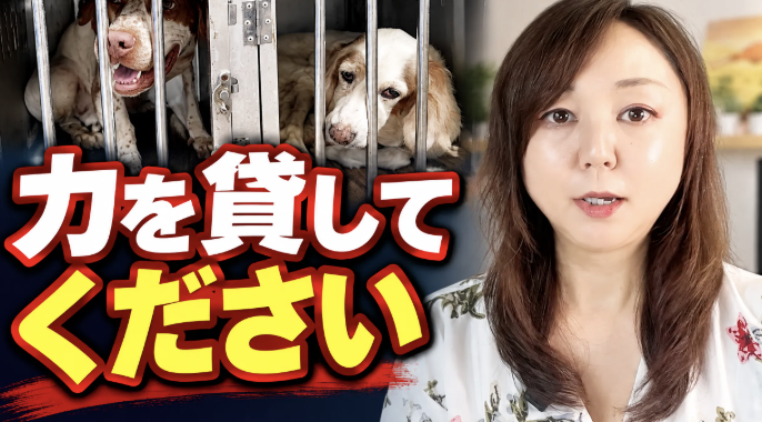 akikofujimura's tweet photo. この動画は広告収益がつきません
【緊急・拡散】困っています！力を貸してください！
飼い主と接触⇨聞いた衝撃の言葉
https://t.co/tvXkdlYXMk https://t.co/2hQbbL8li2