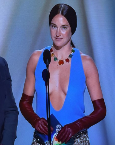 Rich_Cooper's tweet photo. This is the woman that told Aaron Rodgers she needed to 'go fuck another guy' after he proposed to her... https://t.co/RSRo2ePJeK