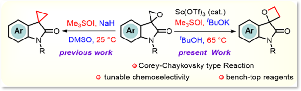 HajraLab_CBMR's tweet photo. A reaction can sometimes take more than one path.
The exciting part is learning how to control which path it takes!
We report Condition-Controlled
Chemoselectivity Switching of
Spiro-Epoxy Oxindoles: Access to Spiro-Oxetane Oxindoles. Congrats to the team https://t.co/Jf5O7JsECT https://t.co/opVIcz1I9u