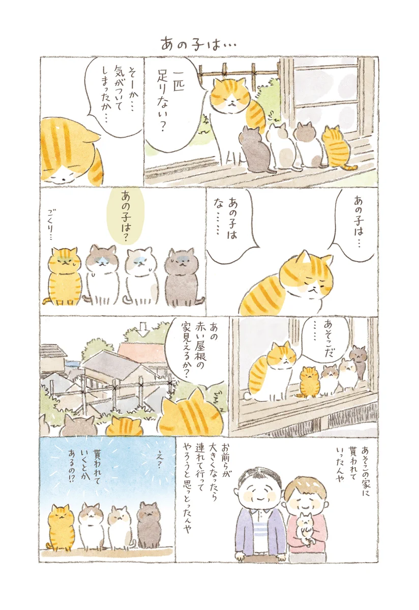 たちねことは