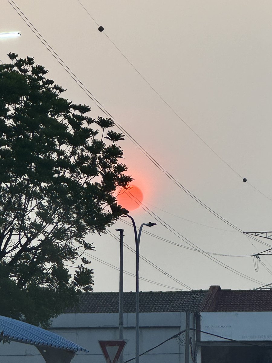 mimitnt's tweet photo. The sun look like this because of the haze

No edits and no filter https://t.co/8q0sg8r0Nf