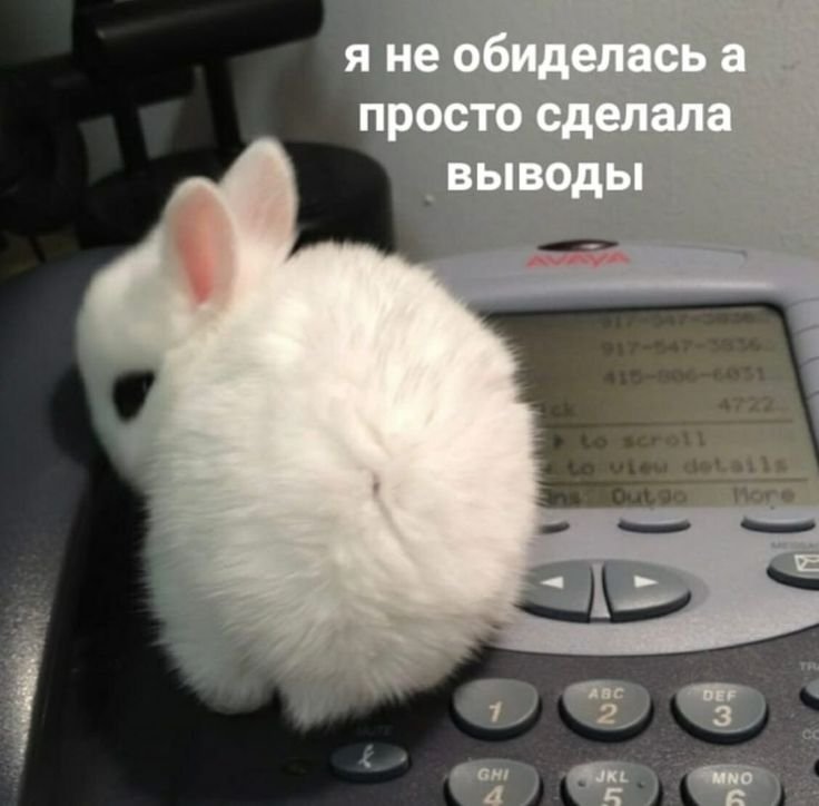 temiqx's tweet photo. Как вы быстро набираете популярность в твитере, раскройте свой секрет, я в твите с 21 года, это мой 2 акк https://t.co/kRa0tcJmNT
