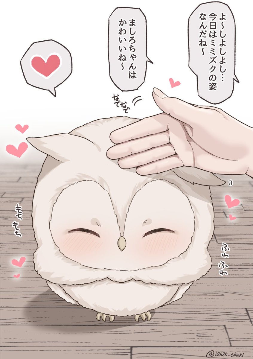 isbsk_ekaki's tweet photo. ミミズクのましろちゃん、いっぱいなでなでして❗🦉✨ (1/2) https://t.co/nppt82HtIi