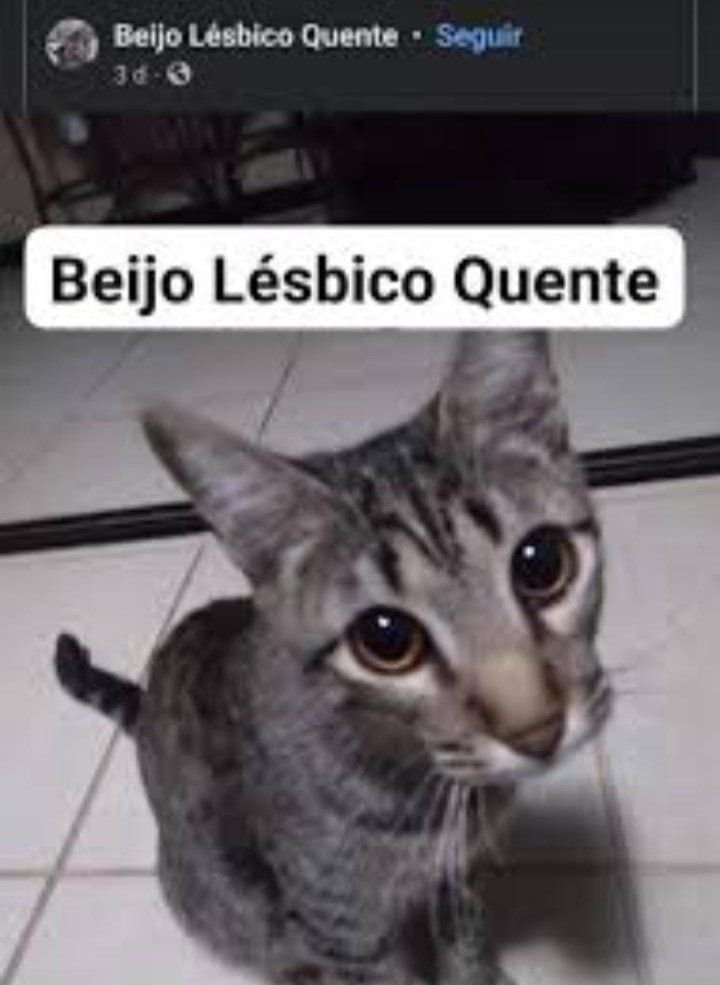 Pinscher_5D's tweet photo. Mais frames que a terceira temporada de opm https://t.co/F6ZaE2Wepk