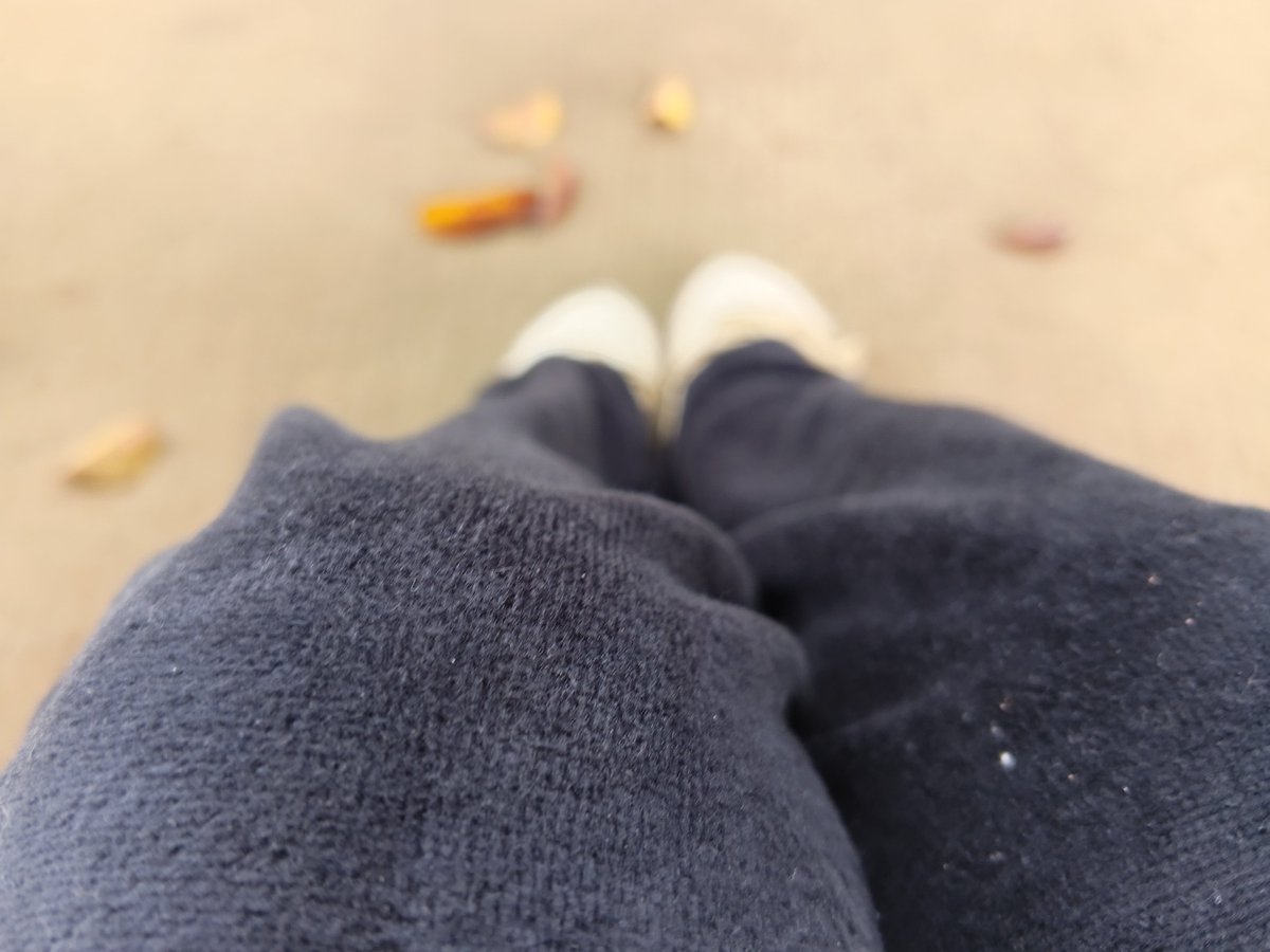 luvhirxya's tweet photo. ┆⤷ ゛straw-uni log : 091626ˎˊ˗
─────── ୨୧ ───────
a not-so productive day #feltsick. here’s some pics I took earlier ! 

xoxo, iraya <𝟑 .ᐟ https://t.co/wq83YmPCTr