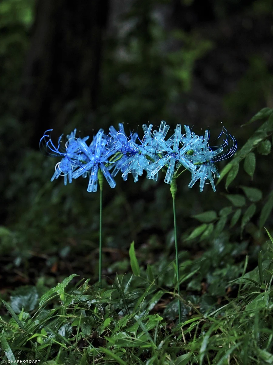 青い花形耳かき タグ付き 洗濯バサミフォトグラファー・岡本なう on X: 