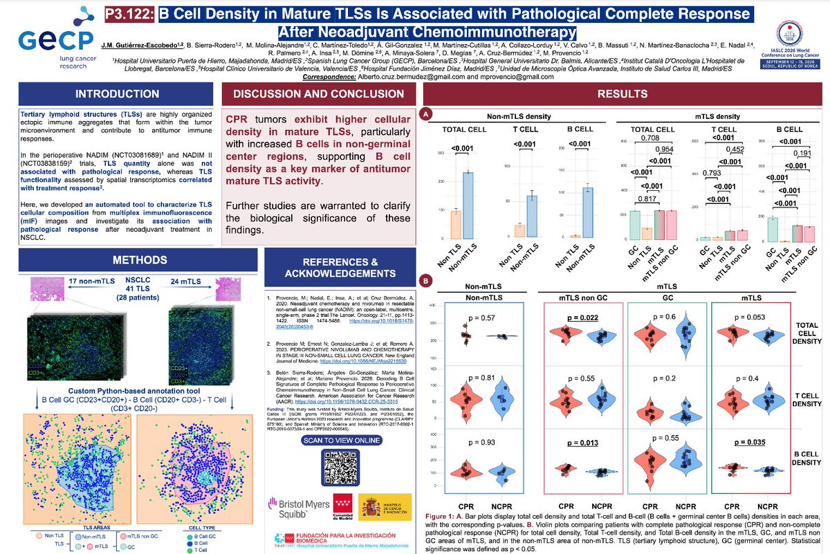 ManuelDomine's tweet photo. B Cell Density in Mature Tlss Is Associated With Pathological Complete Response After Neoadjuvant Chemoimmunotherapy
#WCLC26 Seoul
@gecp_org
@Hospital_FJD
@quironsalud
@UAM_Madrid
#IIS-FJD
@OncoAlert
#LCSM
@AEACaP https://t.co/DSTtiN02FJ