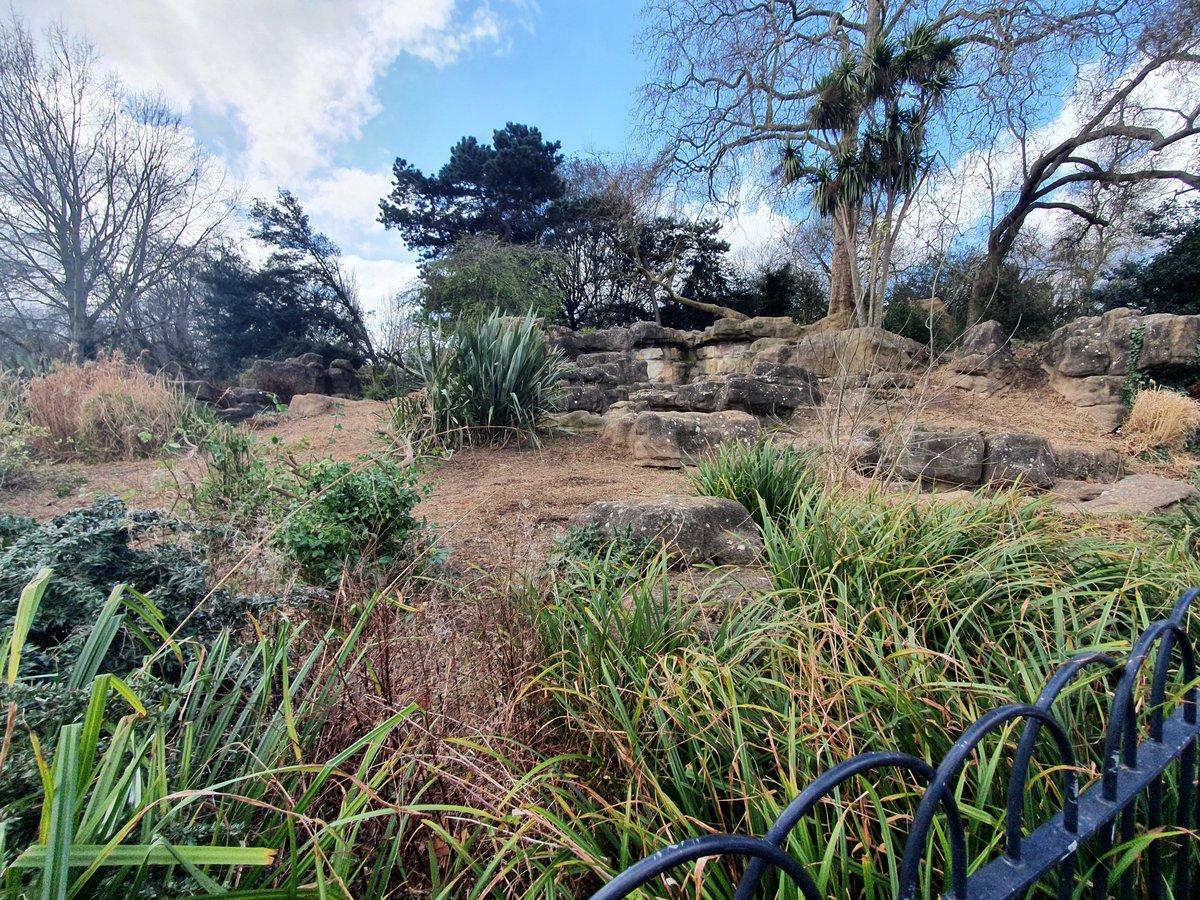 EnableParks's tweet photo. 🌿 Discover the heritage of Battersea Park’s Cascades!

Join us for a Walk and Talk as part of Sustainable September, and learn more about the project helping preserve this historic feature.

📅 Tues 29 Sept
⏰ 3:15pm
📍 The Bandstand

To book: batterseaheritage@enablelc.org https://t.co/v5ZL053aEl
