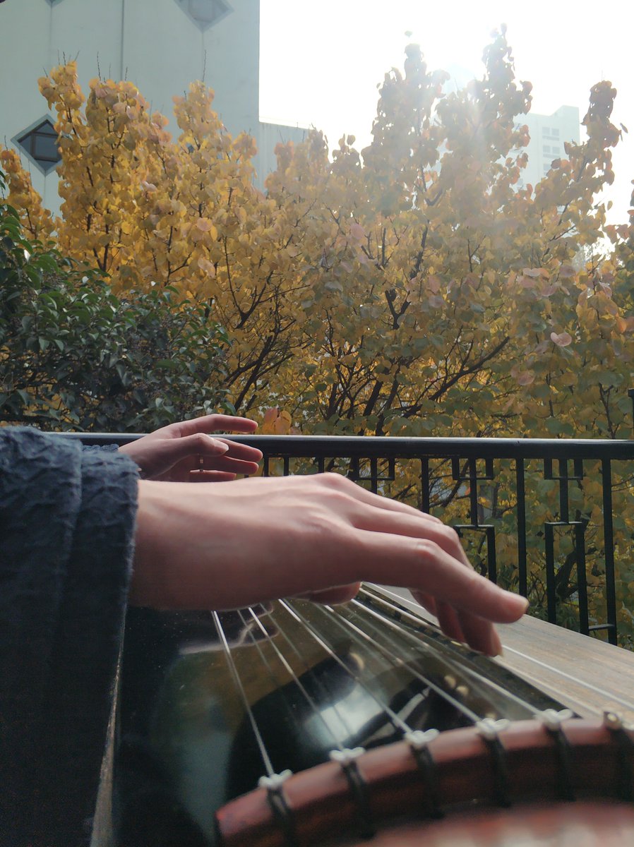 susijonjot's tweet photo. Dancing to the beat that makes your soul feel light—this is how small moments turn into musical magic. https://t.co/M3FvZskMuL
