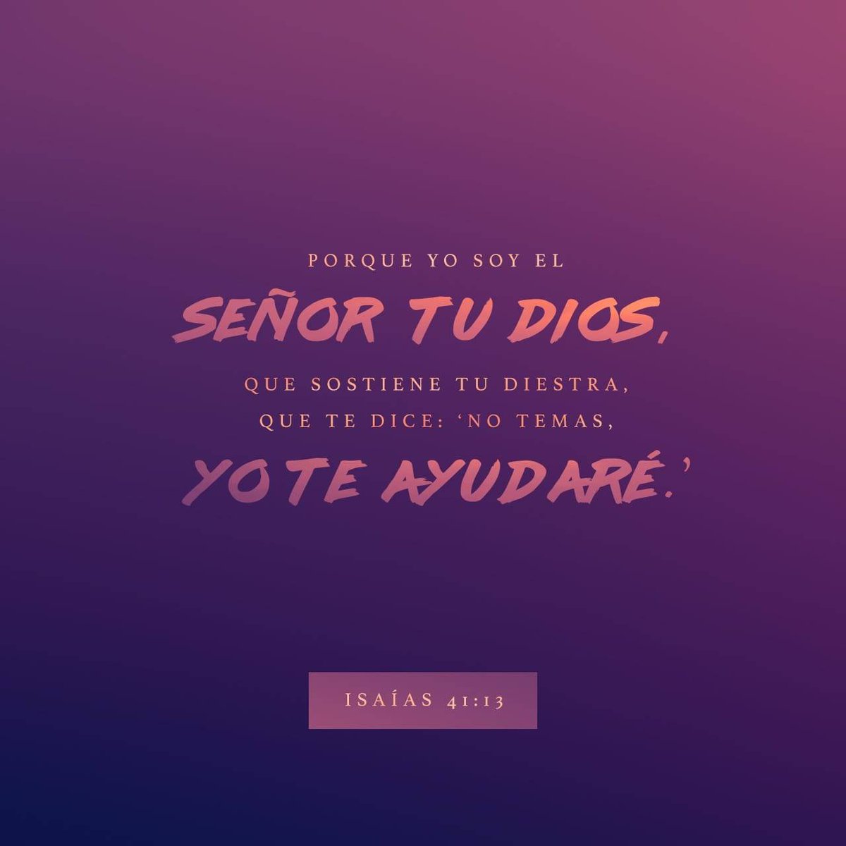 AlexBikers's tweet photo. Buen día para todos que tengan un excelente día bendiciones para todos 🙏🌄❤️🙌😊🤗

https://t.co/1OnPyCLe9t https://t.co/BC4KLtUlmy