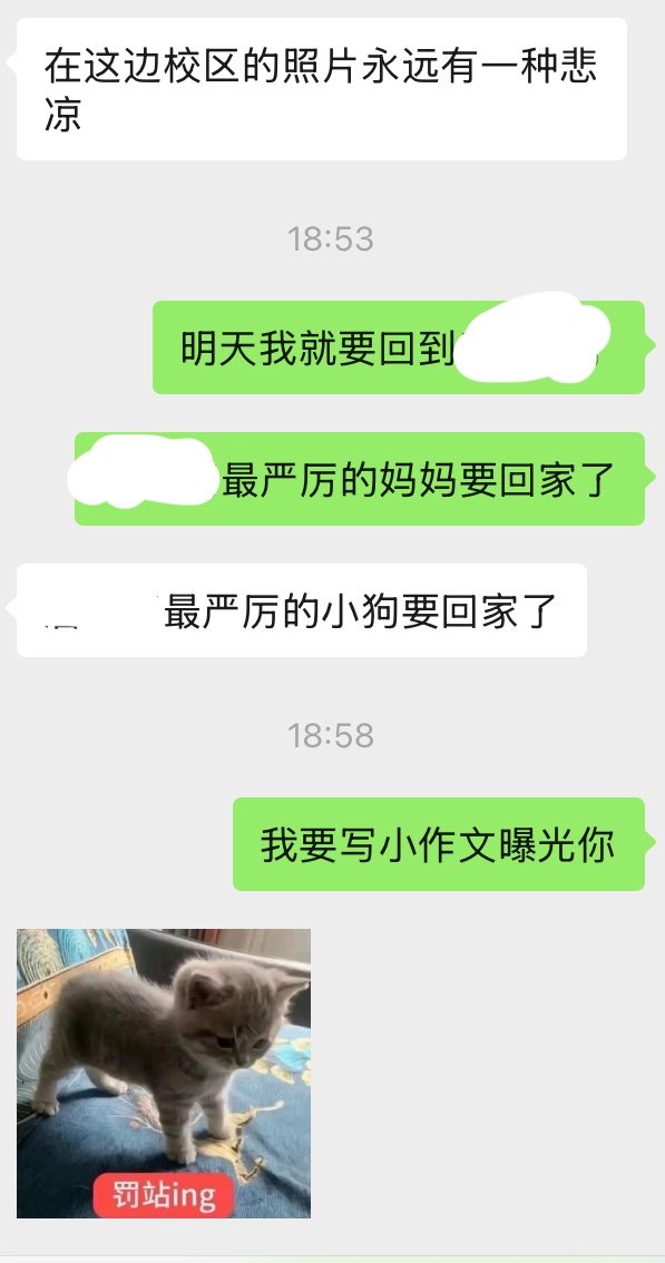 Eddyy339's tweet photo. 🐠哥真的在我xp上行走的男生（口嗨这个点吧，别的我也不确定，因为他也巨忙）
哈哈哈 比我小很多的小男生 06年的
但是很成熟来的 经常莫名其妙冒出来一句话就很杀我 嘻嘻 这个是被强迫1号 
很搞笑 强迫的全是小男生就是了😭😭
我们，现在在很近的地方，相距不到3公里，希望我口嗨不要遭报应，不要见面 https://t.co/OkVXUCCPqb