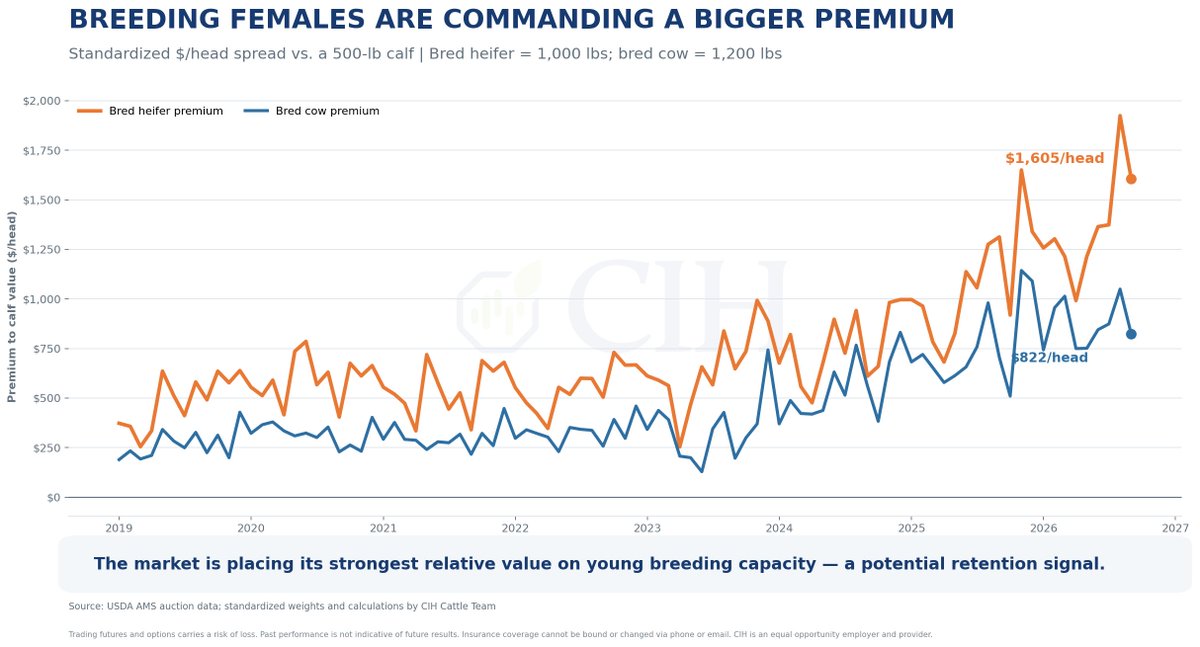 CIHCattleTeam's tweet photo. 🐂 Herd Rebuilding: What Are Bred Heifers Worth?

The bred heifer–steer calf spread offers another way to track the economics of herd rebuilding.

📊 What does the spread measure?

The price premium of a bred heifer over a steer calf. 

🟢 Widening spread → Stronger relative value for breeding females.

🔴 Narrowing spread → Weaker relative value for breeding females.

The key question: Is the growing bred heifer premium enough to overcome the headwinds to herd expansion — drought, financing costs, and the expense of developing replacement females?