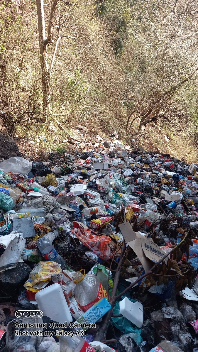 PatrickTue72284's tweet photo. Another problem with coins collection is that they are found in places that are not tidy like this. But what can we say because one might ask what's the sweetest thing to eat? The answer is honey. Where does honey come from? You have to get past the bees... https://t.co/A68pIXzNyk