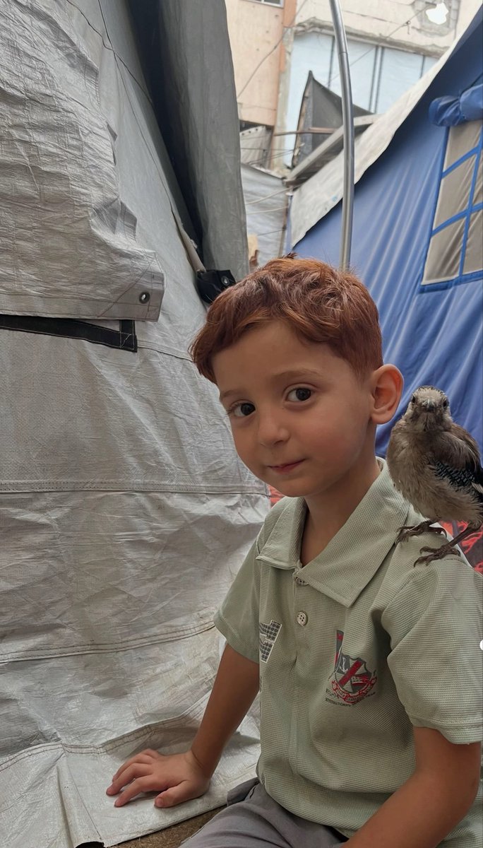 tulipmist's tweet photo. a child from Gaza with a heartwarming smile https://t.co/Yfv34FihHH