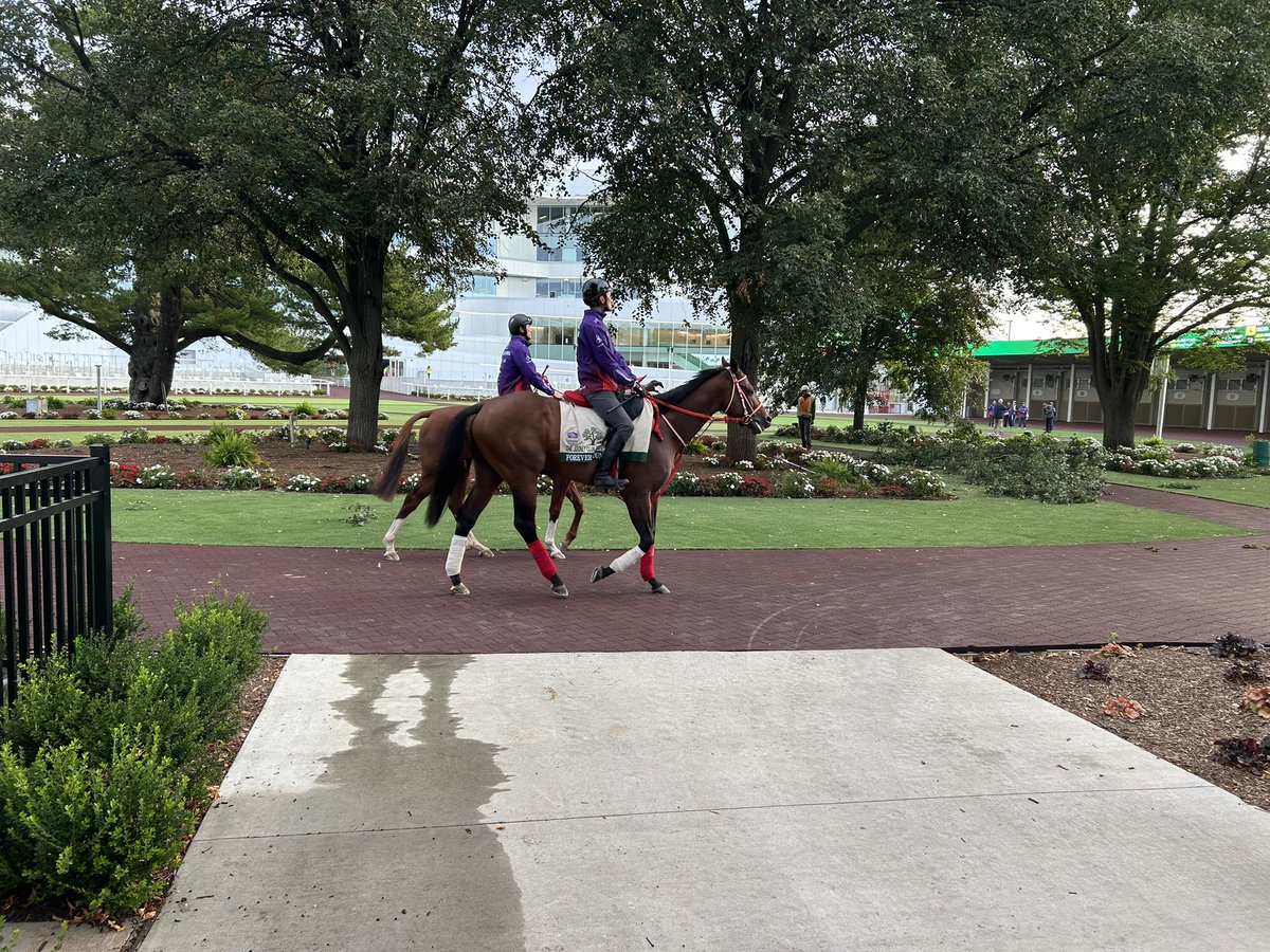 skyscraper6193's tweet photo. Good morning from Belmont Park ! https://t.co/qVrqM7WW6g