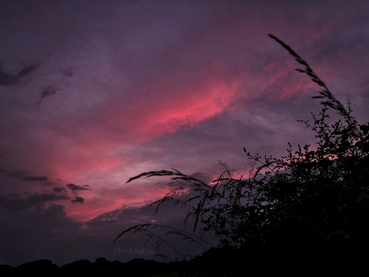 chrisk_nature's tweet photo. 'Last Light Silhouette'

- 2021

#countryside #sunset #wildgrass #wildflowers https://t.co/0R2oL818bS
